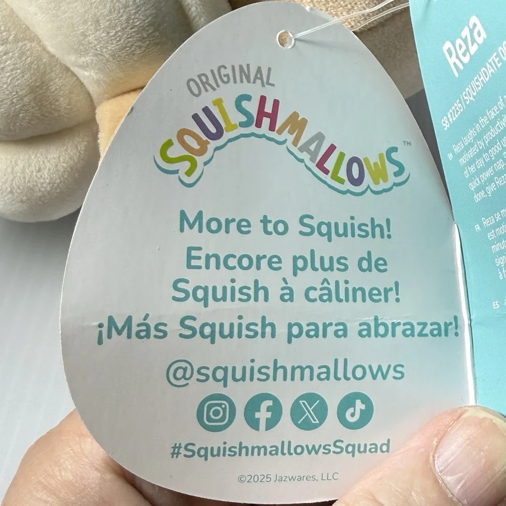 Squishmallows x Sweet‎ Squad Reza the Latte Squirrel Small Plush Doll 8